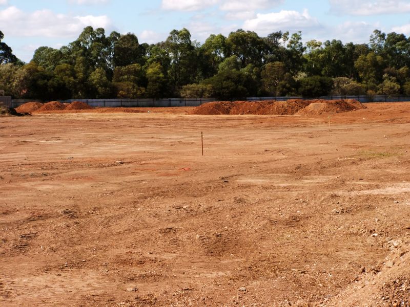 Before and After Land Clearing