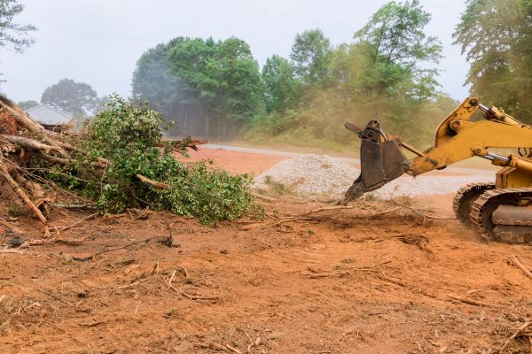 Ground Clearing in Copperas Cove