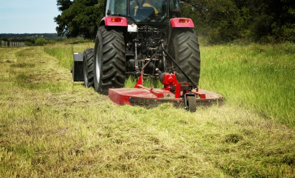 Brush Clearing Service in Copperas Cove