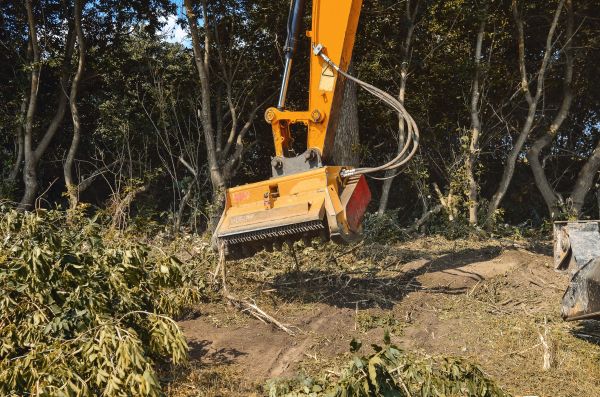 Brush Removal Service in Copperas Cove