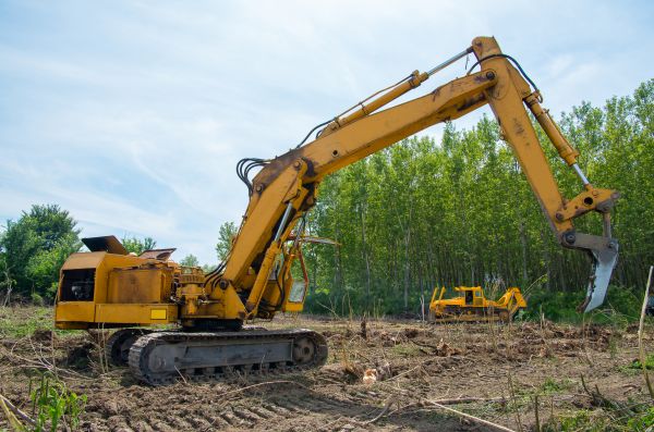 Cost of Farm Clearing in Copperas Cove