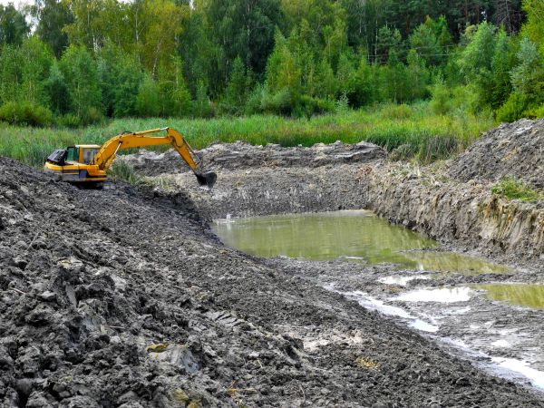 Cost of Lake Lot Clearing in Copperas Cove