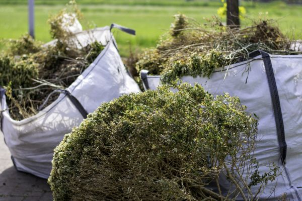 Cost of Bushes Clearing in Copperas Cove
