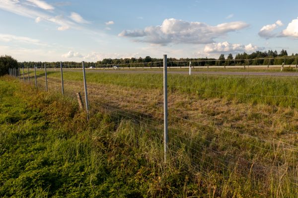 Cost of Property Line Clearing in Copperas Cove