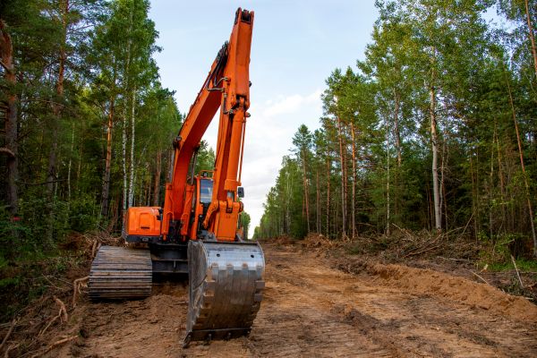 Cost of Backhoe Land Clearing in Copperas Cove
