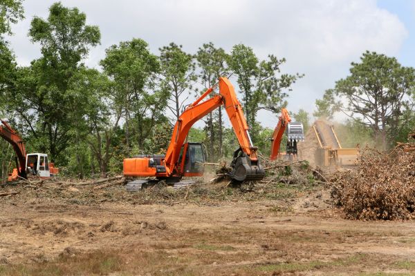 Cost of Commercial Lot Clearing in Copperas Cove