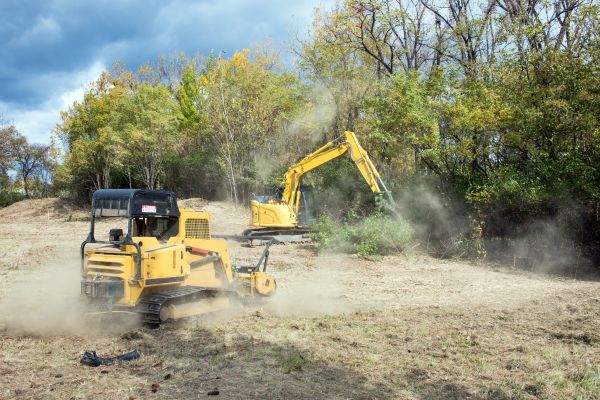 Cost of Terrain Clearing in Copperas Cove