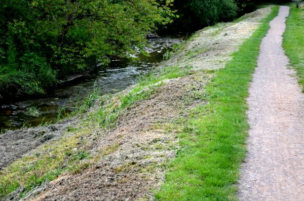 Cost of Trail Cutting in Copperas Cove